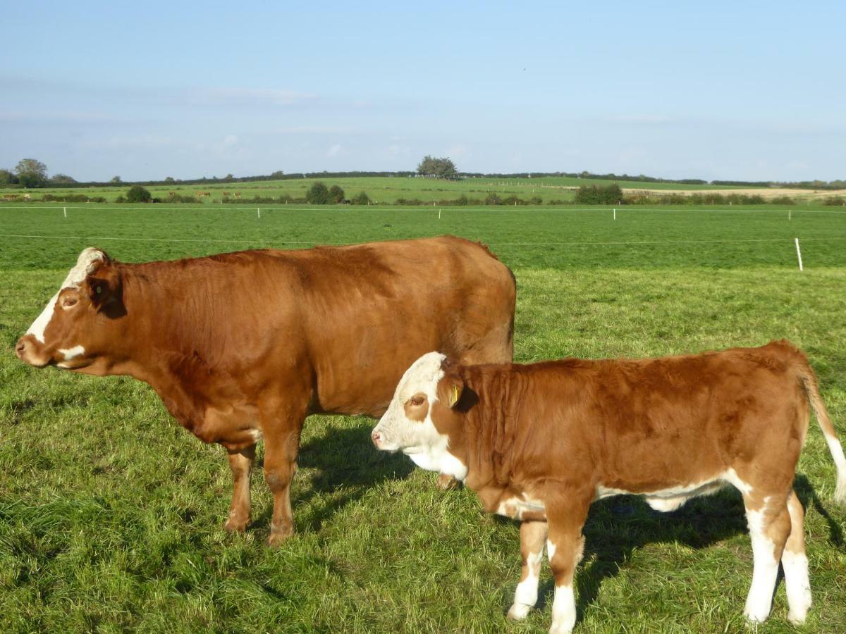 Broadacre Farm Panzió Stabannan Kültér fotó